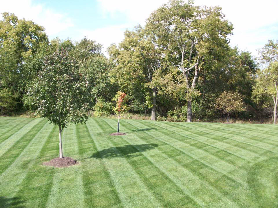 Lawn maintenance